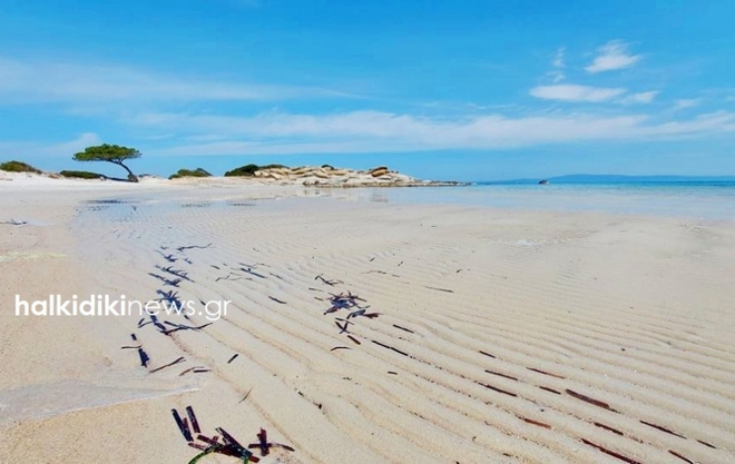 Χαλκιδική: Η άμπωτη “εξαφάνισε” τη θάλασσα στο Καρύδι – Εντυπωσιακές εικόνες