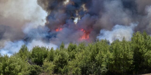 Νέα φωτιά στο Άργος – Καλύτερη εικόνα σε Χιλιομόδι και Πήλιο