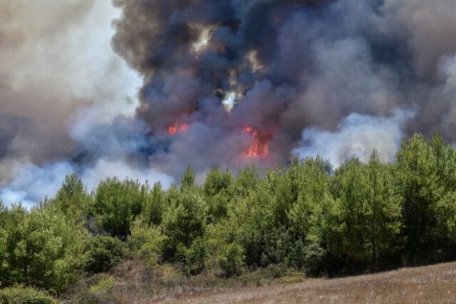 Νέα φωτιά στο Άργος – Καλύτερη εικόνα σε Χιλιομόδι και Πήλιο