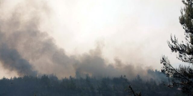 Υπό μερικό έλεγχο η φωτιά στο Άγιο Όρος-Καλύτερη εικόνα στην Λακωνία