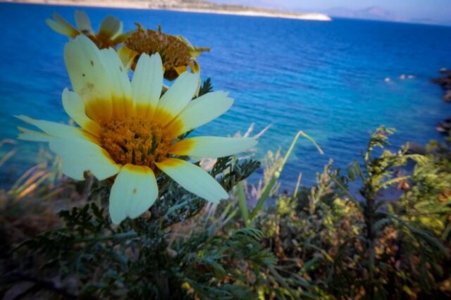 Καιρός: Έρχεται άνοδος της θερμοκρασίας