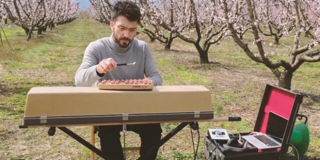 Οι ροδακινιές της Βέροιας στη Μπιενάλε της Βενετίας