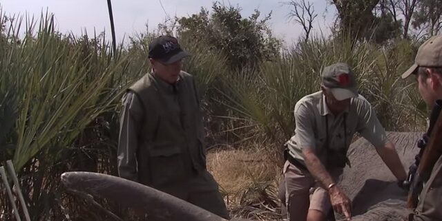 ΗΠΑ: Οργή με βίντεο του επικεφαλής του λόμπι των όπλων που πυροβολεί ελέφαντα