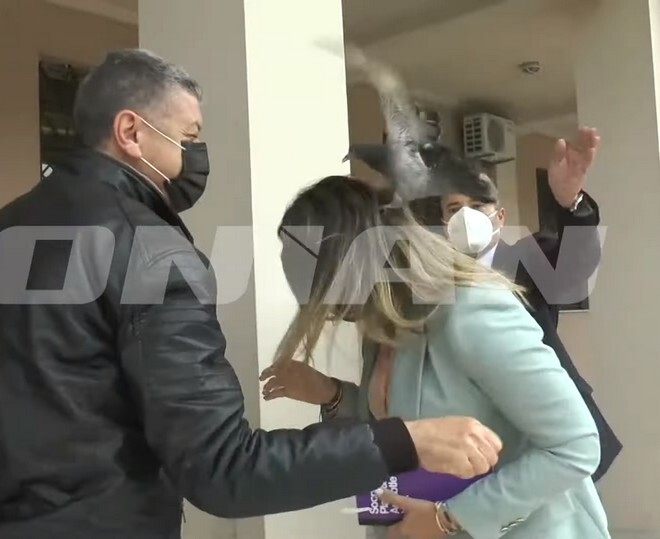 Περιστέρι επιτίθεται στη Σοφία Ζαχαράκη και γίνεται viral