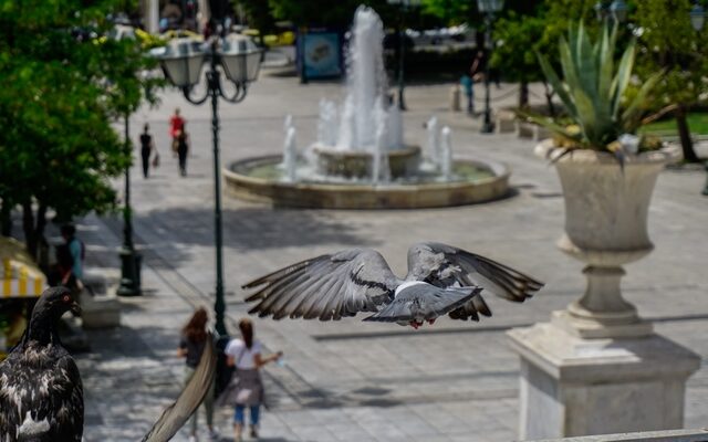 Άρση μέτρων: Το χρονοδιάγραμμα της απελευθέρωσης