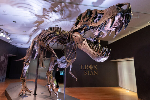 Πόσοι Tυραννόσαυροι Ρεξ υπήρξαν στη Γη;