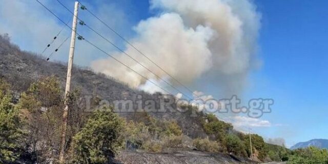 Φθιώτιδα: Υπό μερικό έλεγχο η φωτιά στη Μακρακώμη