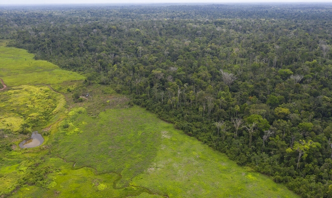 Βραζιλία: Παράνομη σχεδόν όλη η αποψίλωση του δάσους του Αμαζονίου