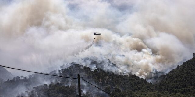 Φωτιά στα Γεράνεια Όρη: Αποκαρδιωτικές εικόνες από δορυφόρο – Το πριν και το μετά
