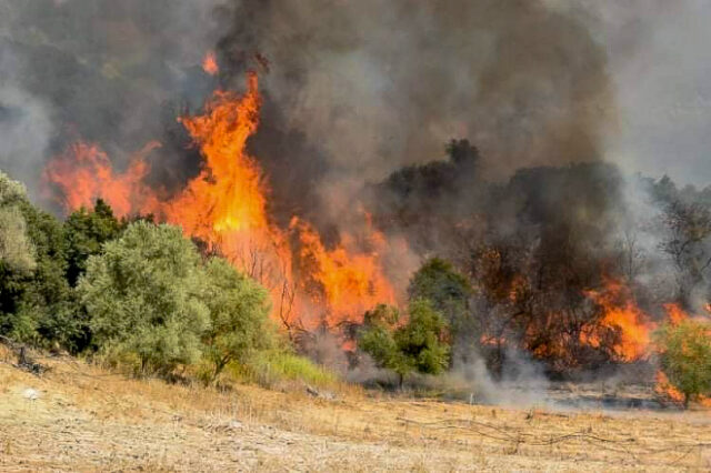 Πύργος: Οριοθετήθηκε η φωτιά στην Σμέρνα Ηλείας