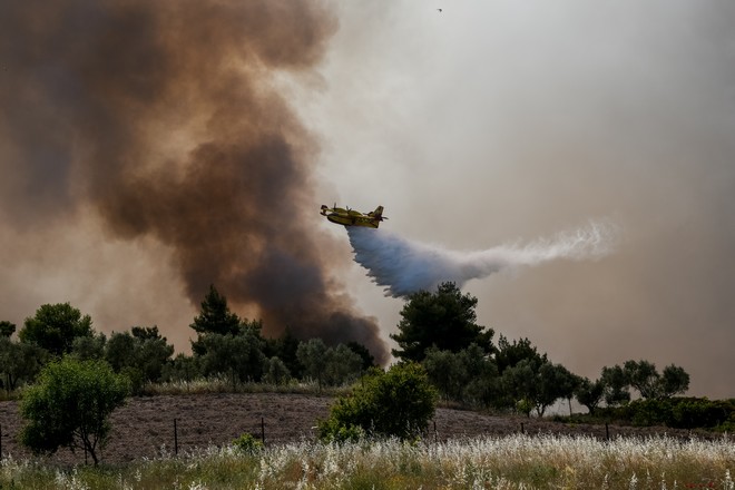 Φωτιά στα Γεράνεια Όρη: Απανωτές αναζωπυρώσεις – Εκκενώθηκαν δύο μικροί οικισμοί