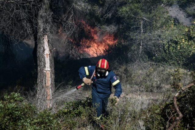 Φωτιά στα Γεράνεια Όρη: Τεράστια οικολογική καταστροφή – Οι άνεμοι πρόλαβαν τον κρατικό μηχανισμό