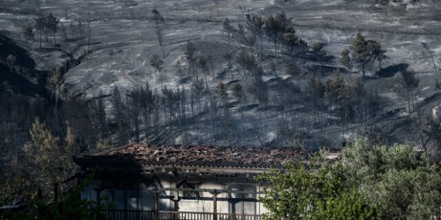 Φωτιά στα Γεράνεια Όρη: Ήταν μόνο τα μποφόρ;
