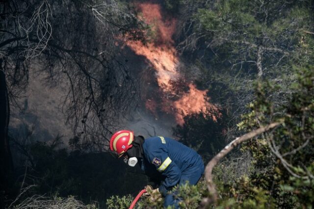 Βόλος: Φωτιά περιμετρικά της πόλης- Κάηκαν ζώα