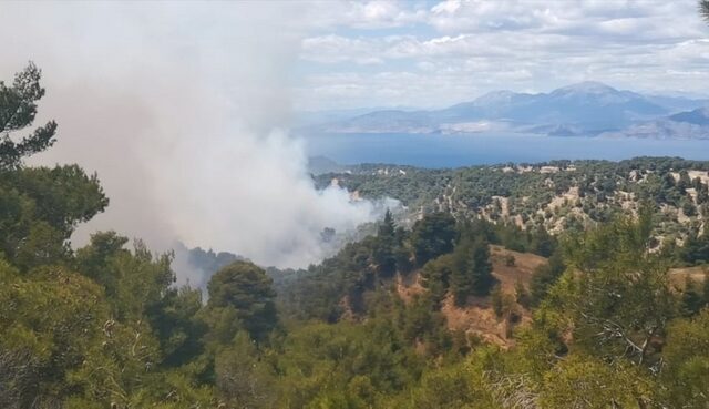 Φωτιά στα Γεράνεια Όρη: Αναζωπύρωση μέσα σε χαράδρα πίσω από τον Πευκενέα