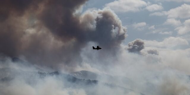 Φωτιά στην Κορινθία: Καύση γεωργικών υπολειμμάτων σε ελαιώνα, η αιτία