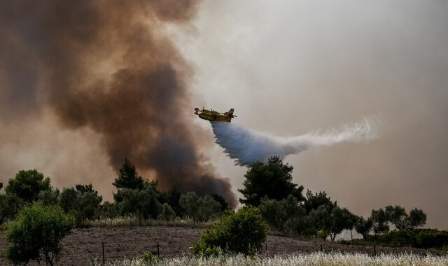 Φωτιά στα Γεράνεια Όρη: Εικόνα ύφεσης, αγώνας για την οριοθέτησή της