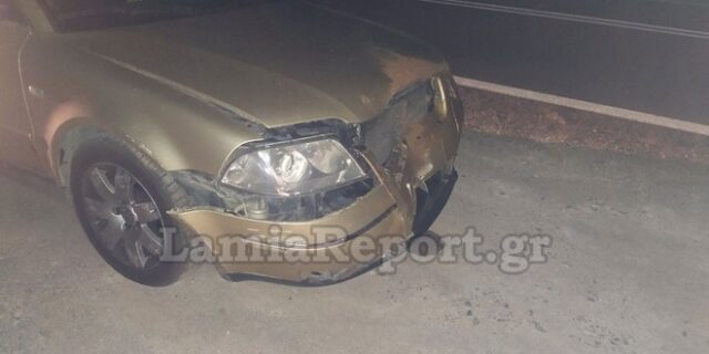 Λαμία: Αγριογούρουνο προκάλεσε σοβαρό τροχαίο