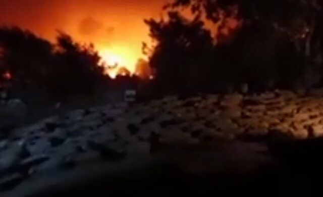 Φωτιά στην Κορινθία: Η συγκινητική προσπάθεια διάσωσης ενός κοπαδιού προβάτων