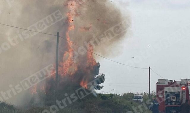 Πύργος: Υπό μερικό έλεγχο η φωτιά δίπλα στην Εθνική Οδό