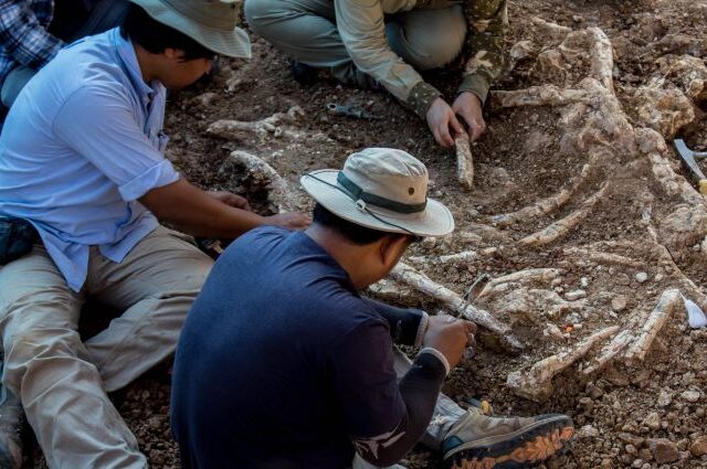 Μεξικό: Αναγνωρίστηκε άγνωστο είδος δεινοσαύρων