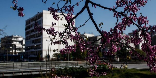 Καιρός: Βελτιωμένος με κανονικές θερμοκρασίες