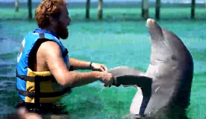 Survivor 4: Οργή για τα δελφίνια-έπαθλο