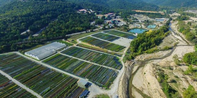 Η υπεύθυνη μεταλλευτική δραστηριότητα της Ελληνικός Χρυσός