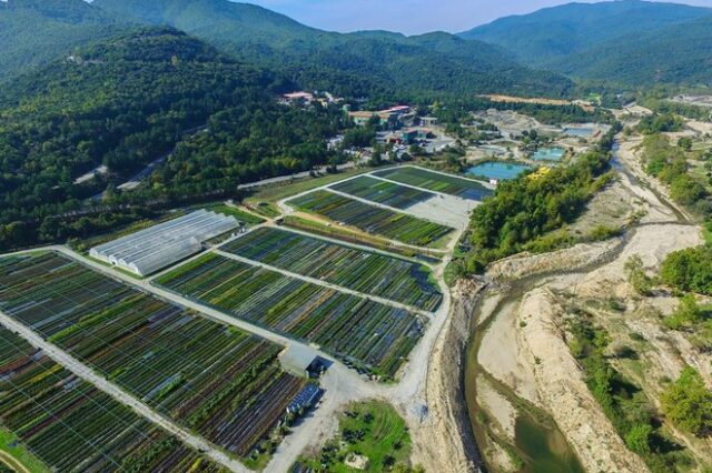 Η υπεύθυνη μεταλλευτική δραστηριότητα της Ελληνικός Χρυσός