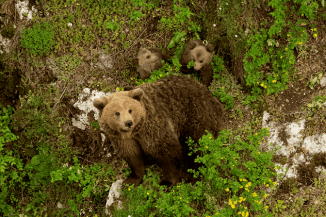 Η μαγεία των ελληνικών περιοχών Natura 2000 σε 40 εντυπωσιακά καρέ