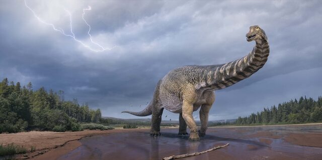 Αυστραλοτιτάνας: Ανακαλύφθηκε νέος δεινόσαυρος – Είχε μήκος όσο ένα γήπεδο μπάσκετ