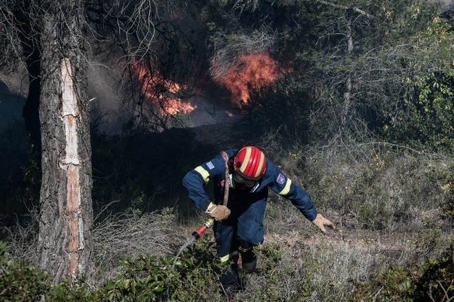 Πολιτική Προστασία: Πολύ υψηλός κίνδυνος πυρκαγιάς την Τρίτη για πολλές περιοχές