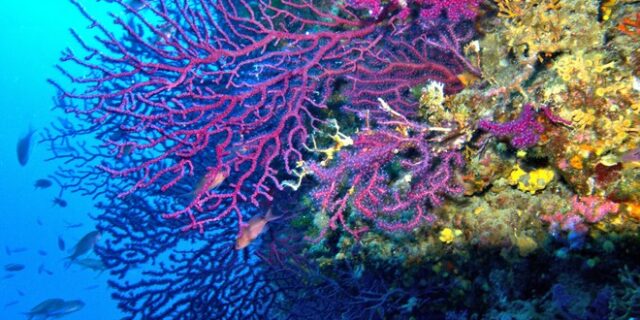 Η κλιματική κρίση αλλάζει τη Μεσόγειο: Οι 6 κύριες επιπτώσεις