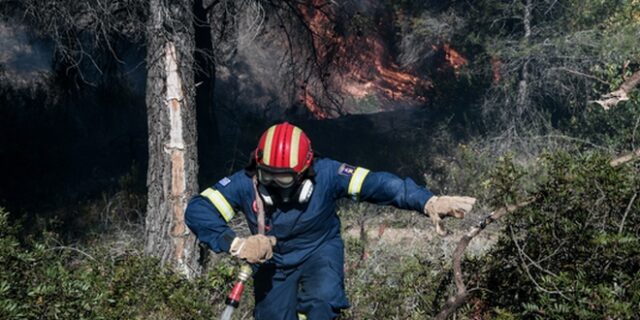 Κρήτη: Φωτιά στις Γούβες Ηρακλείου