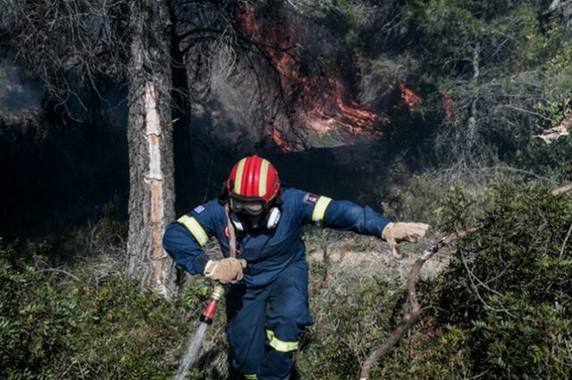 Κρήτη: Φωτιά στις Γούβες Ηρακλείου