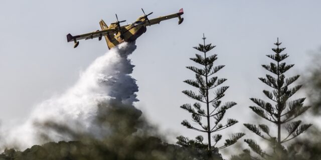 Φωτιά στη Σαλαμίνα – Συναγερμός στην Πυροσβεστική