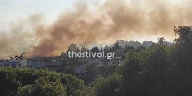 Θεσσαλονίκη: Οριοθετήθηκε η φωτιά στην Πυλαία