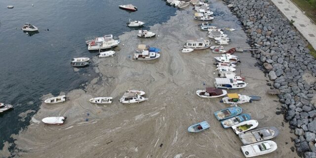 Τουρκία: Δεσμεύσεις για καθαρισμό της θάλασσας του Μαρμαρά από τη “θαλάσσια βλέννα”