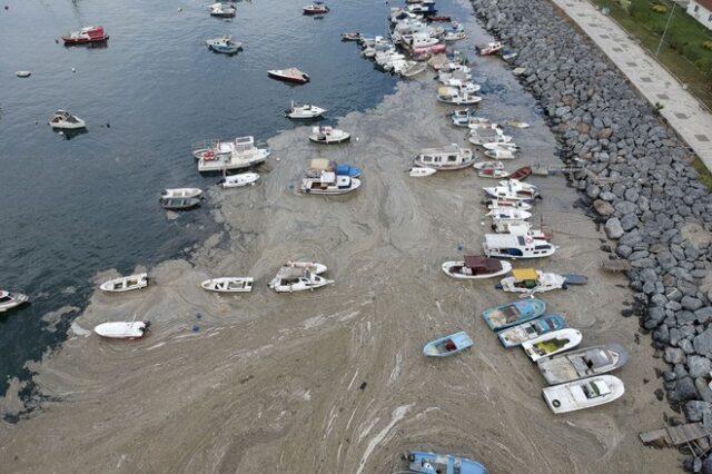 Τουρκία: Δεσμεύσεις για καθαρισμό της θάλασσας του Μαρμαρά από τη “θαλάσσια βλέννα”