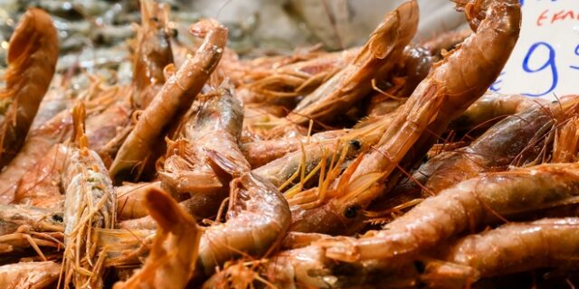 ΕΦΕΤ: Ανακαλεί από την αγορά κατεψυγμένη γάμπαρη – “Να μην καταναλωθεί”