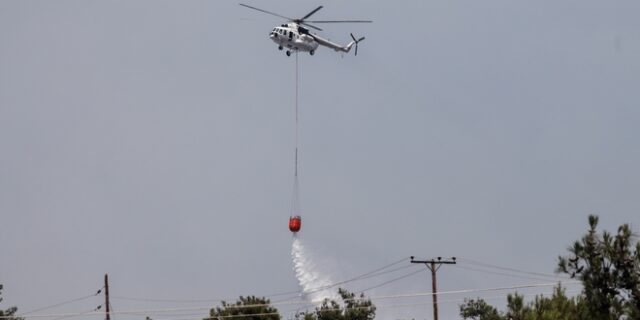 Φωτιά στο Σέιχ Σου: Σε επιφυλακή για αναζωπυρώσεις η πυροσβεστική