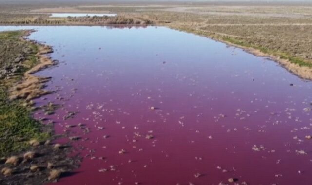 Γιατί τα νερά ποταμού Chubut στην Αργεντινή έγιναν ροζ