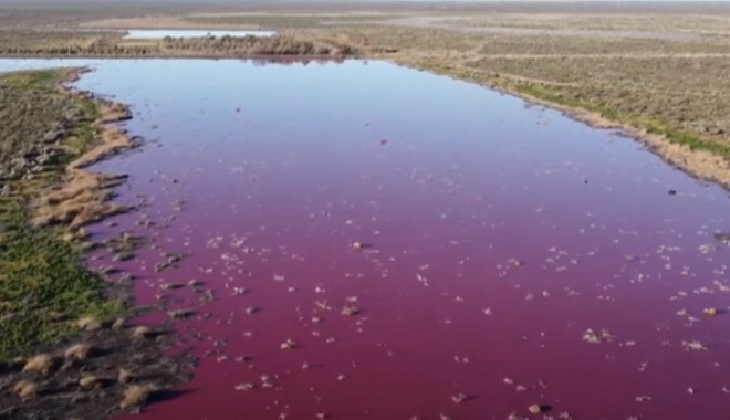 Γιατί τα νερά ποταμού Chubut στην Αργεντινή έγιναν ροζ