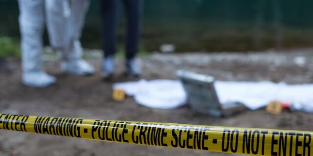 ΗΠΑ: Νήπιο πυροβόλησε και σκότωσε τη μητέρα του ενώ μιλούσε στο Zoom