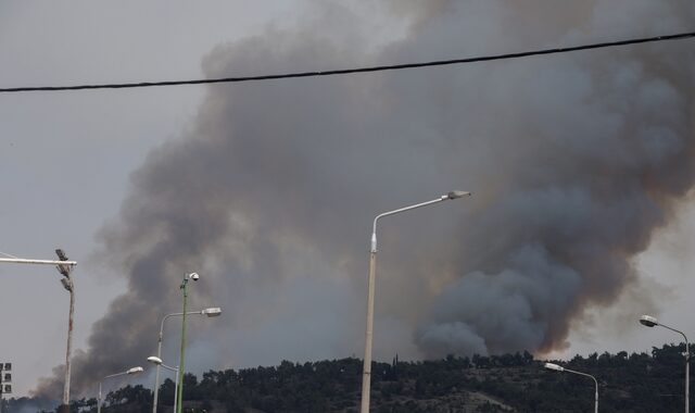 Φωτιά στο Σέιχ Σου: Οριοθετήθηκε το μέτωπο, κάηκαν 90 στρέμματα δάσους – Έρευνα για εμπρησμό