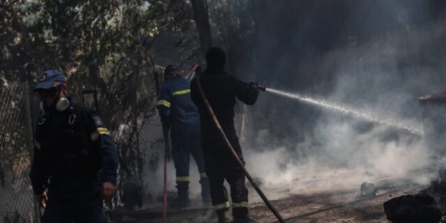 Καλαμάτα: Μεγάλη φωτιά στην περιοχή Βασιλίτσι – Εκκενώθηκε οικισμός