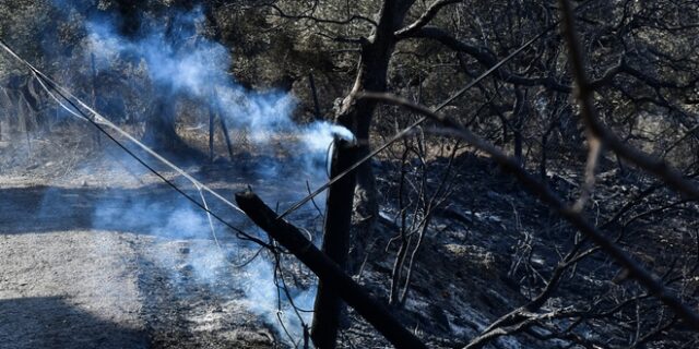 Υπό  έλεγχο η φωτιά στο Ηράκλειο