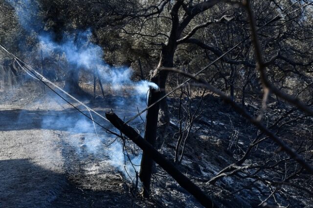 Κόρινθος: Σε ύφεση η φωτιά στη Λίμνη Δασίου στο Ξυλόκαστρο