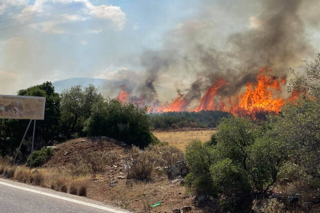 Αργολίδα: Φωτιά σε δασική έκταση στο Αραχναίο – Καλύτερη εικόνα στην Κορινθία