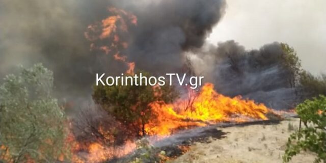 Φωτιά στο Καλέντζι Κορινθίας – Επιχειρούν ισχυρές μονάδες της Πυροσβεστικής